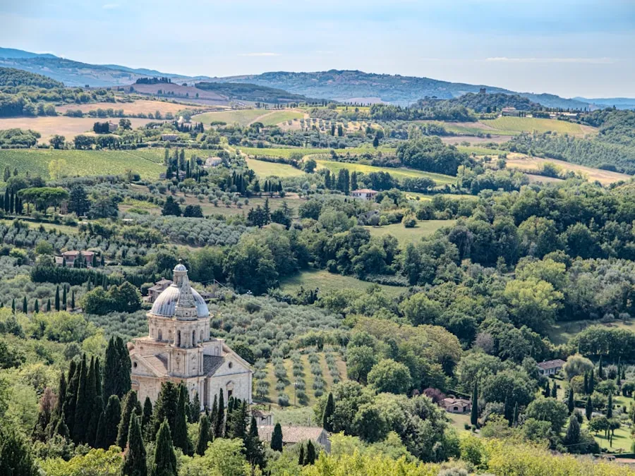 Rolling cypress-lined hills in Tuscany, Italy